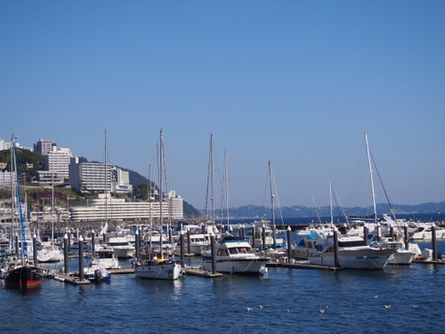 d0171803_8163514.jpg