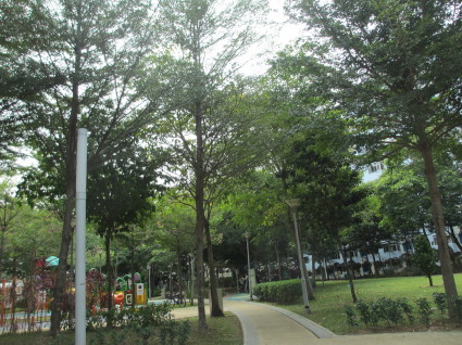 c0212604_05355465.jpg