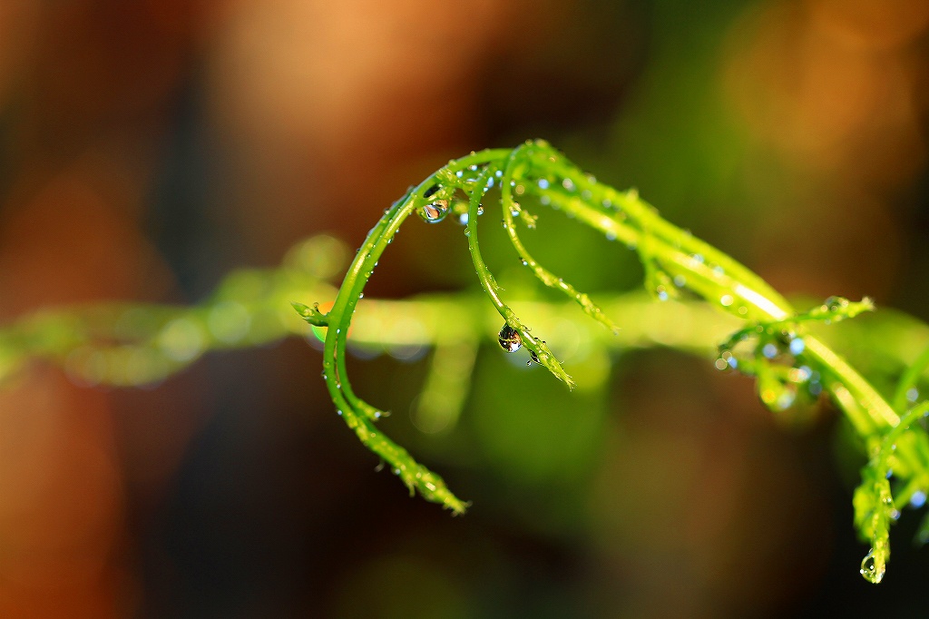 雨が上がったね_c0342006_22581754.jpg