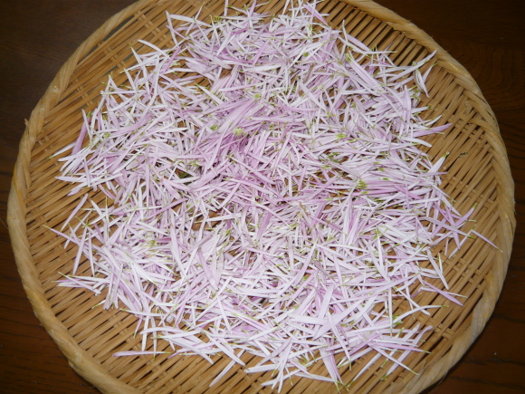 a0139007_17573850.jpg