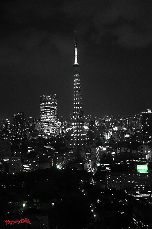 TOKYO TOWER GREEN DIAMOND-VEIL 03_b0134907_932998.jpg