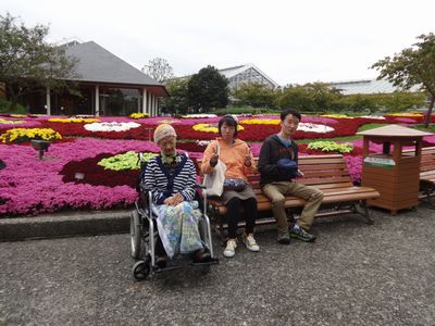 なばなの里へ日帰り旅行!_a0154110_1437649.jpg