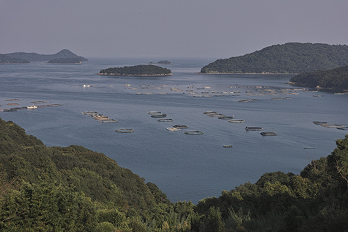 黒之瀬海峡をわたる。_a0096313_15534063.jpg