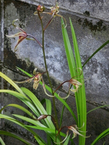 b0099813_018982.jpg