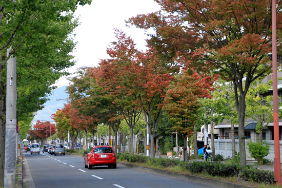 秋が進んだ_e0048413_20574274.jpg