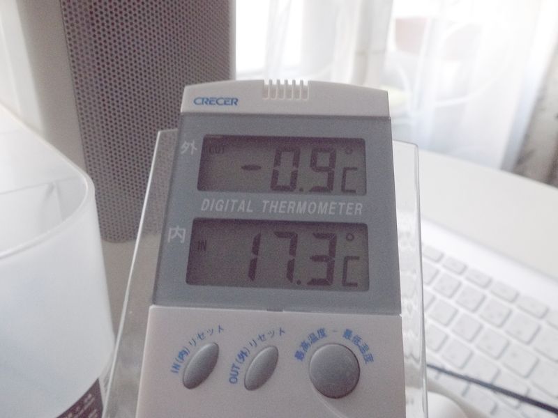 我が家ではこの秋初めての零下を確認_c0025115_1916529.jpg