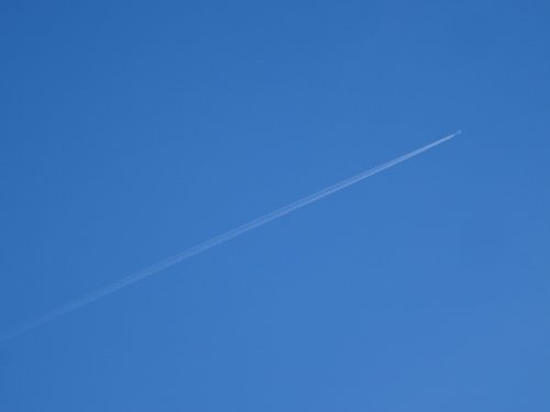 f0178416_8331117.jpg