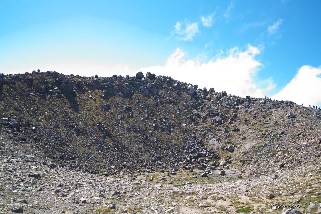 d0161322_13152290.jpg