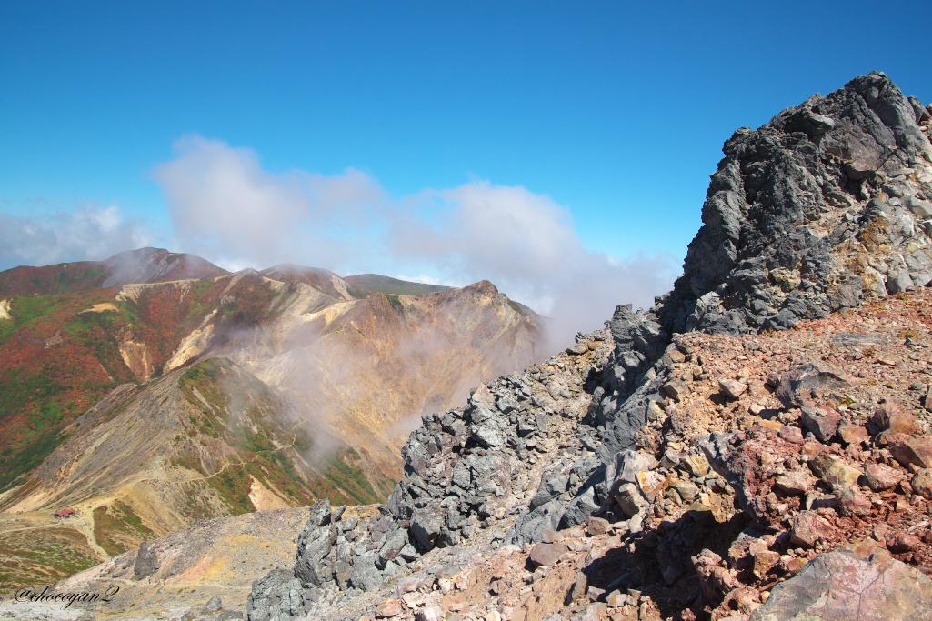 d0161322_13152526.jpg