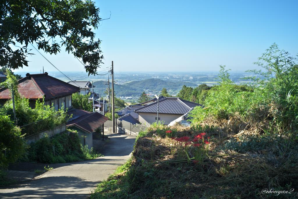 d0161322_23354765.jpg