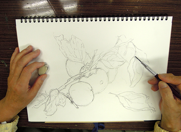 下半期10月の淡彩画講座ご紹介「果物を描く」_b0212226_15024399.jpg