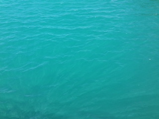 c0051529_11421011.jpg
