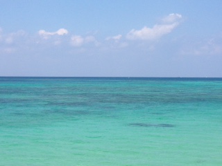 c0051529_11423693.jpg