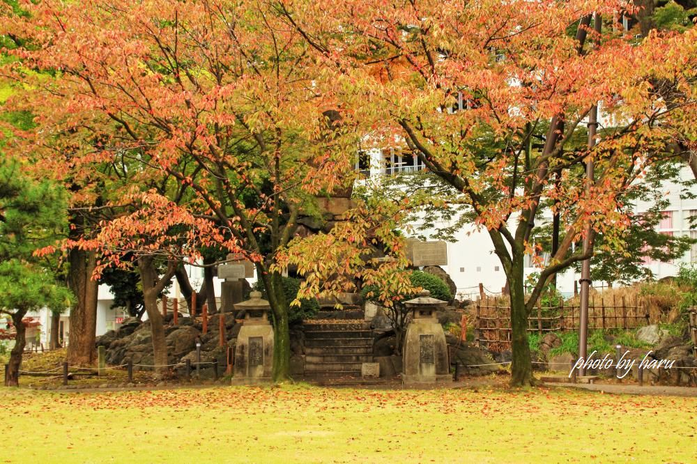 小雨の城址公園散歩_f0297537_05060241.jpg