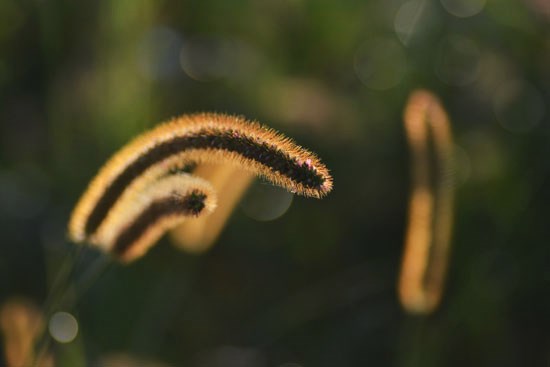 c0093046_834272.jpg