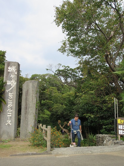 e0201748_75172.jpg