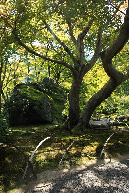 そうだ京都へ行こう2014盛秋　♪　嵐山　もみじの寺_e0295348_10583912.jpg