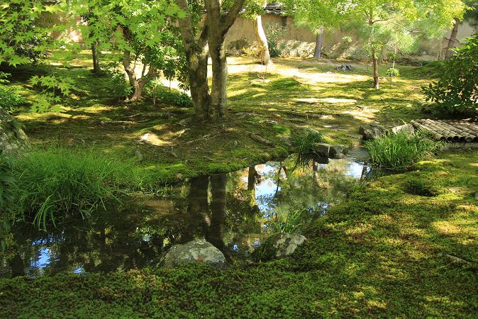 そうだ京都へ行こう2014盛秋　♪　嵐山　もみじの寺_e0295348_11101587.jpg