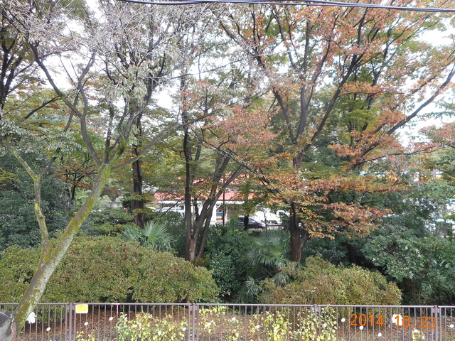 b0152049_17535162.jpg