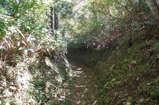 f0214649_5534431.jpg