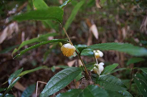 f0214649_610644.jpg