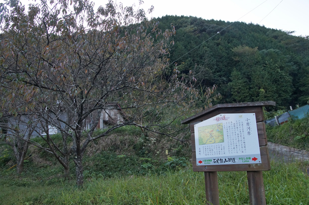 石見銀山街道・やなしお道④_f0214649_613171.jpg