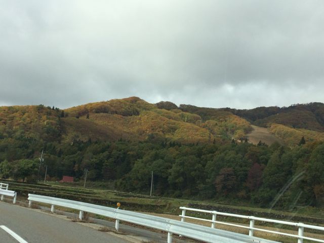 c0254151_2133898.jpg