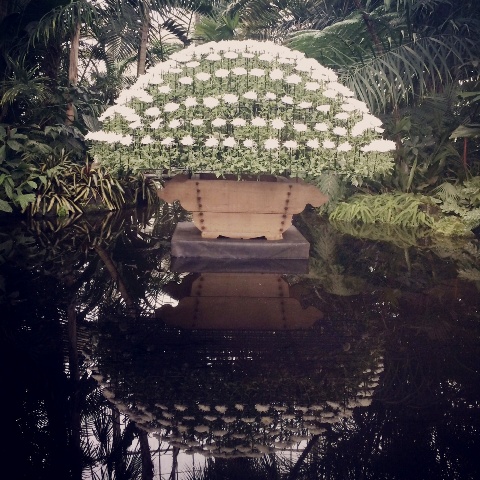 10月の天体の動きと影響＆NY植物園の菊祭と可愛いコウモリ_b0173754_12325042.jpg