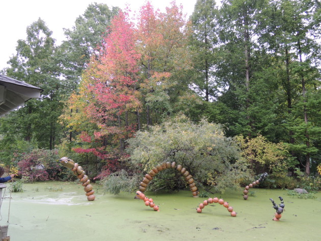 10月の天体の動きと影響＆NY植物園の菊祭と可愛いコウモリ_b0173754_12473782.jpg