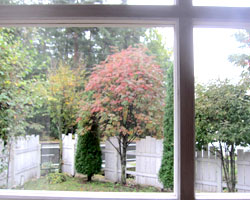 d0050155_8571924.jpg