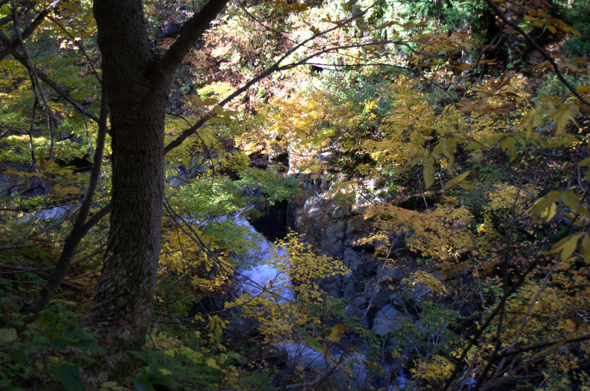 d0098057_13183375.jpg