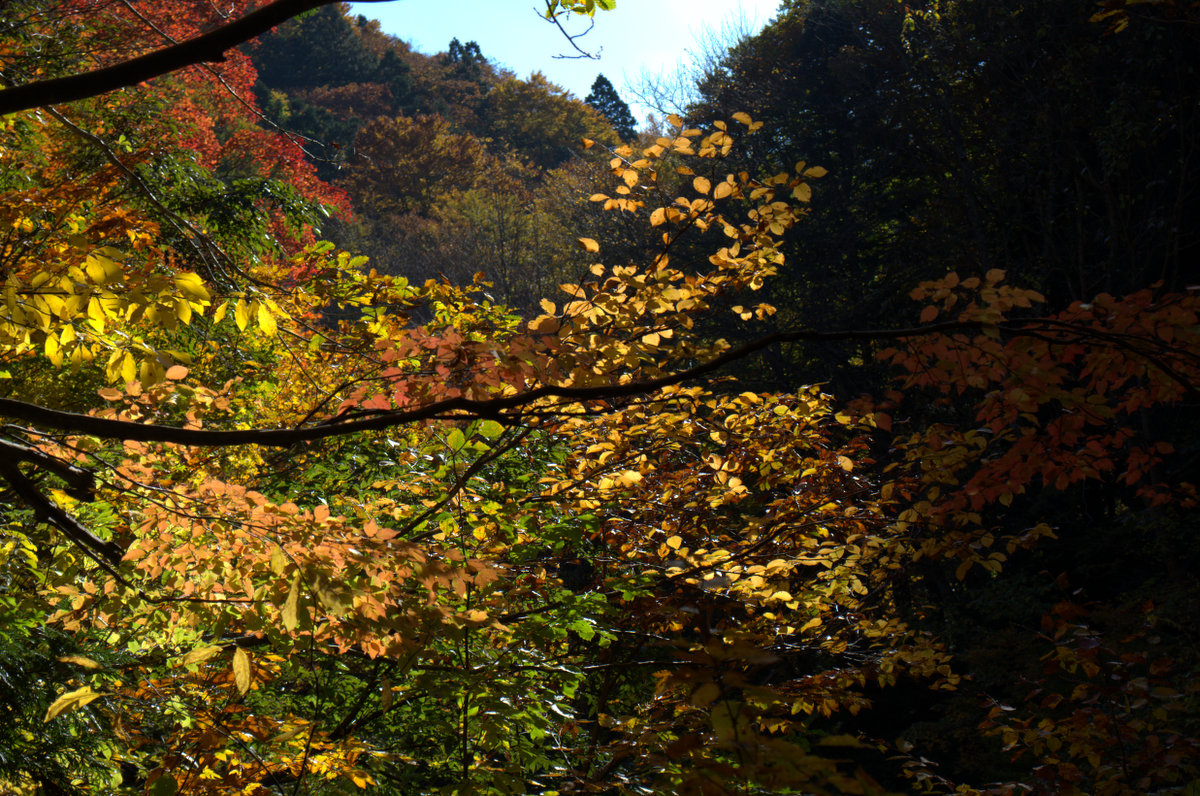 d0098057_13185271.jpg