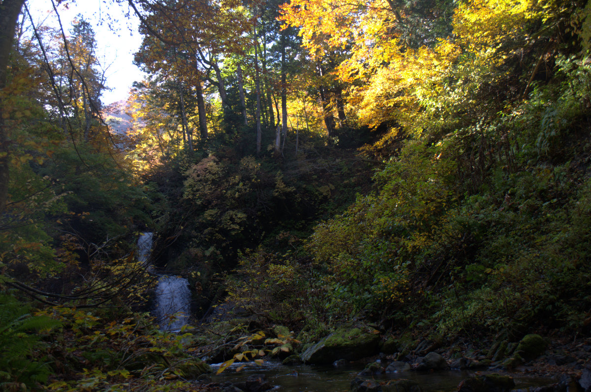 d0098057_13191455.jpg
