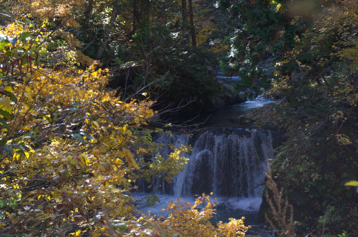 d0098057_1319258.jpg