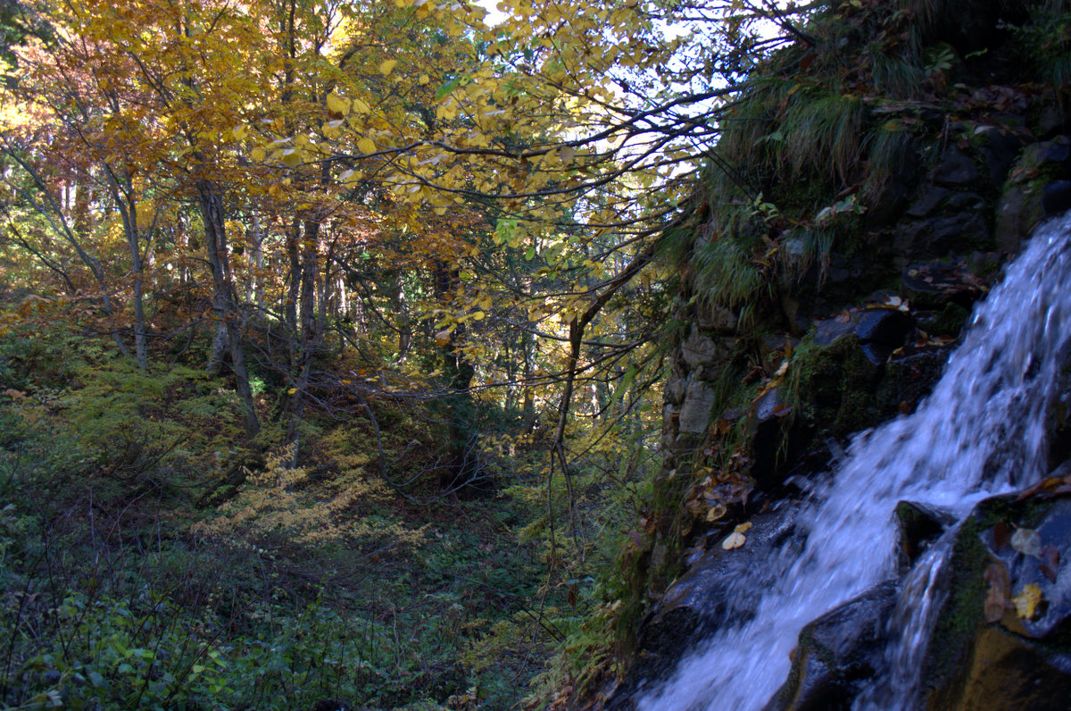 d0098057_13193447.jpg