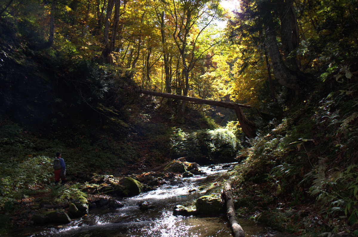d0098057_1319449.jpg