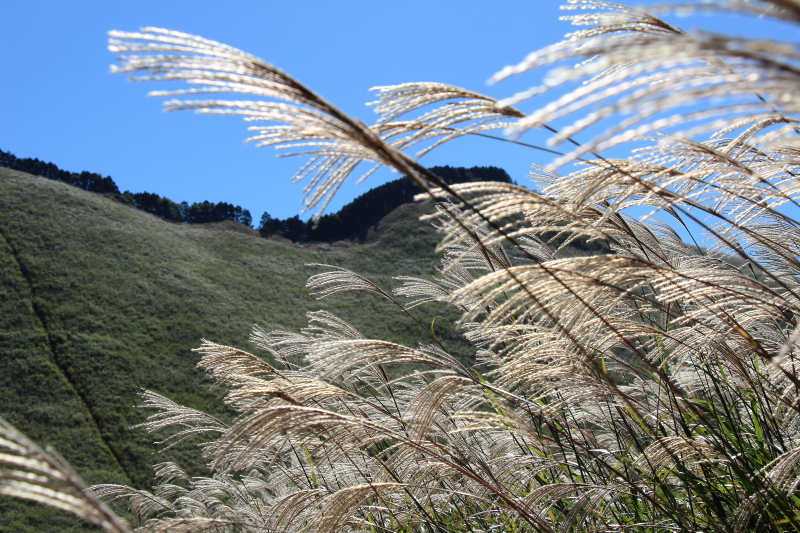 c0272958_23565514.jpg