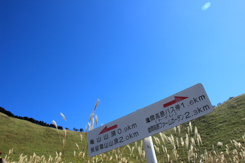c0272958_2358151.jpg