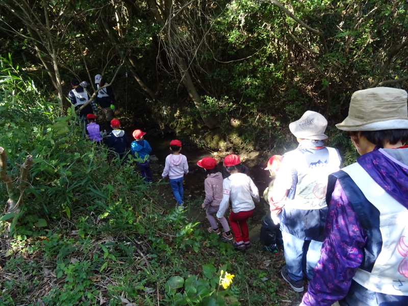 淡輪小学校1年生遠足「里山体験」・・・せんなん里海公園内うみべの森 by (TATE-misaki)_c0108460_16284792.jpg