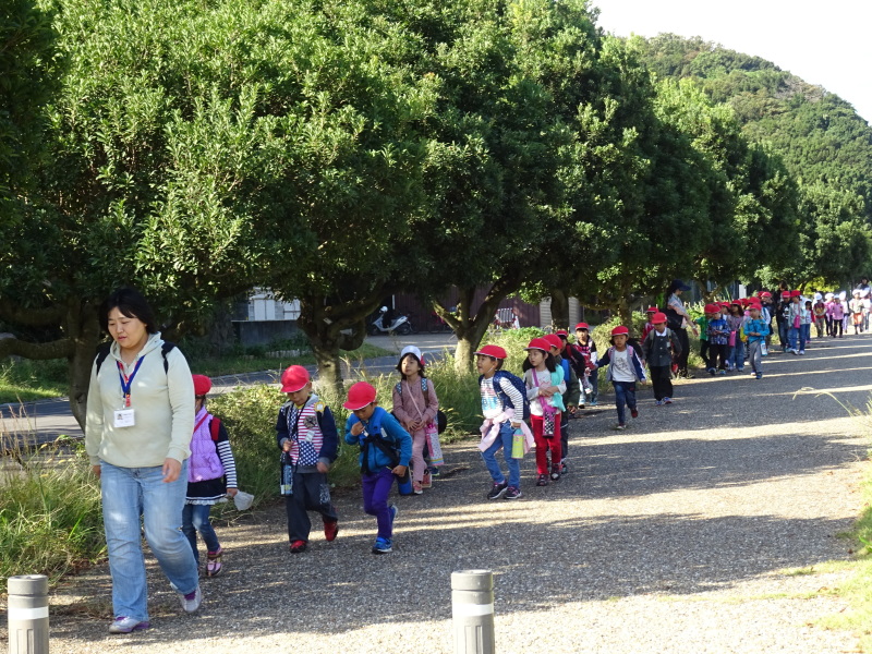 淡輪小学校1年生遠足「里山体験」・・・せんなん里海公園内うみべの森 by (TATE-misaki)_c0108460_16285581.jpg