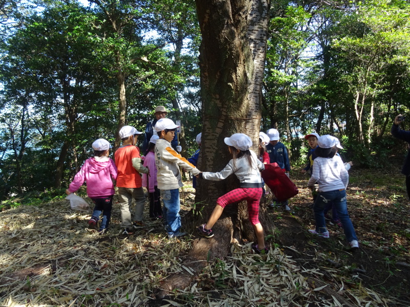 淡輪小学校1年生遠足「里山体験」・・・せんなん里海公園内うみべの森 by (TATE-misaki)_c0108460_16361387.jpg