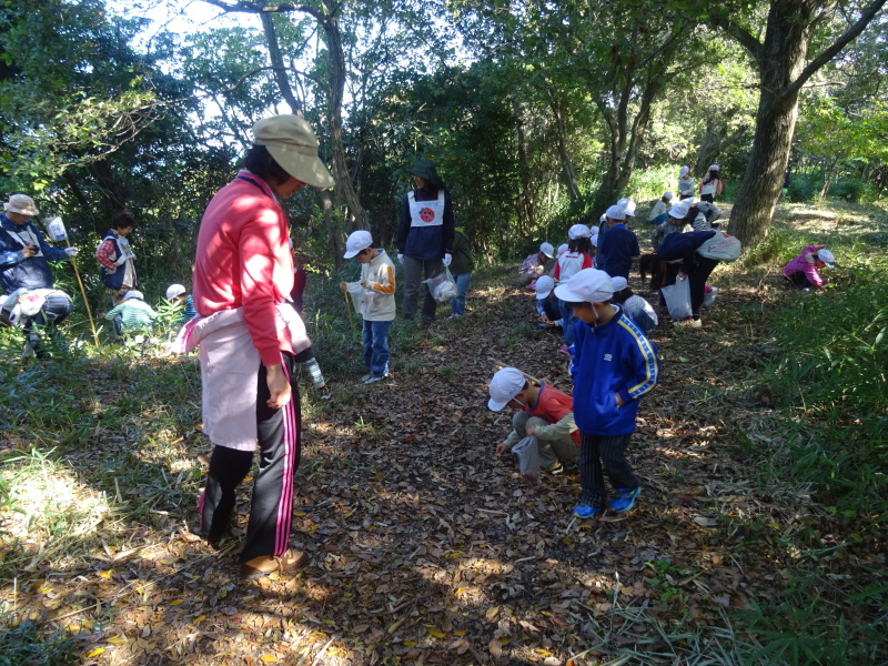 淡輪小学校1年生遠足「里山体験」・・・せんなん里海公園内うみべの森 by (TATE-misaki)_c0108460_16362419.jpg