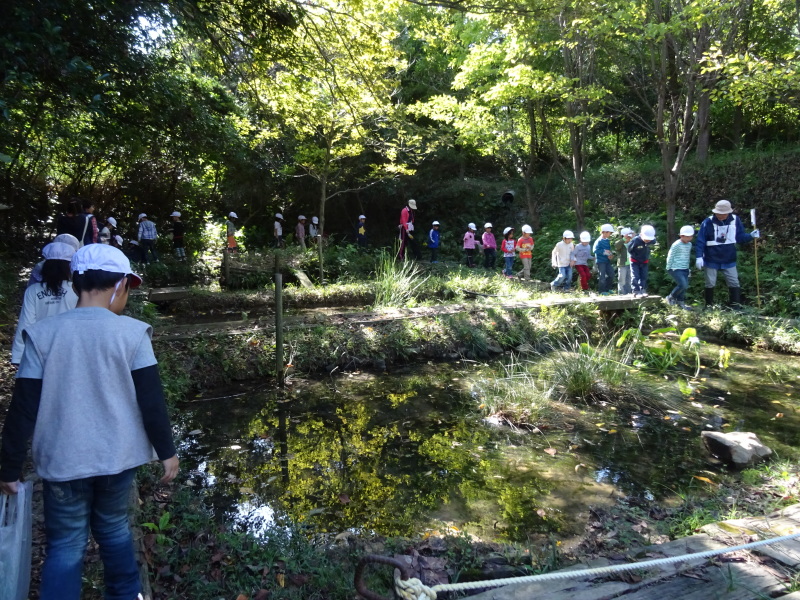 淡輪小学校1年生遠足「里山体験」・・・せんなん里海公園内うみべの森 by (TATE-misaki)_c0108460_16441021.jpg