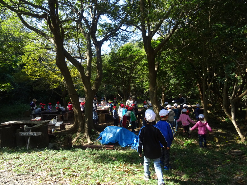 淡輪小学校1年生遠足「里山体験」・・・せんなん里海公園内うみべの森 by (TATE-misaki)_c0108460_16441164.jpg