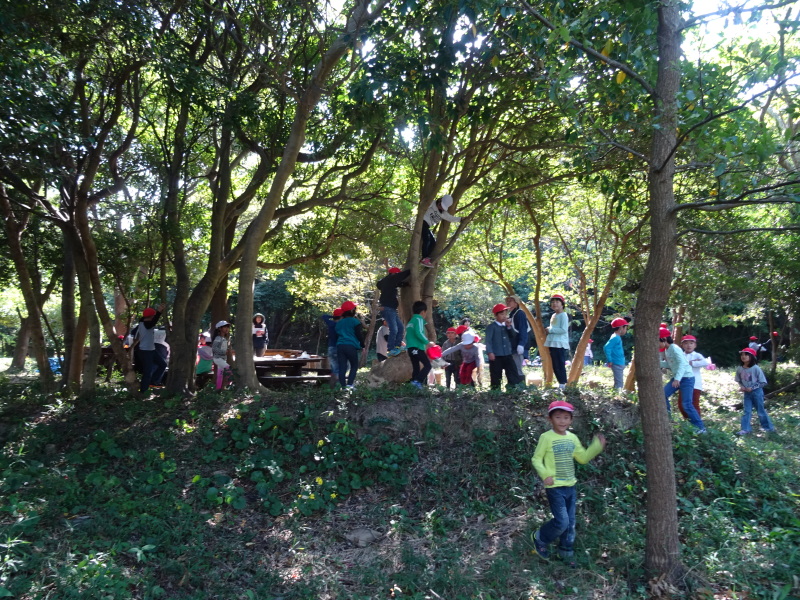 淡輪小学校1年生遠足「里山体験」・・・せんなん里海公園内うみべの森 by (TATE-misaki)_c0108460_16511015.jpg