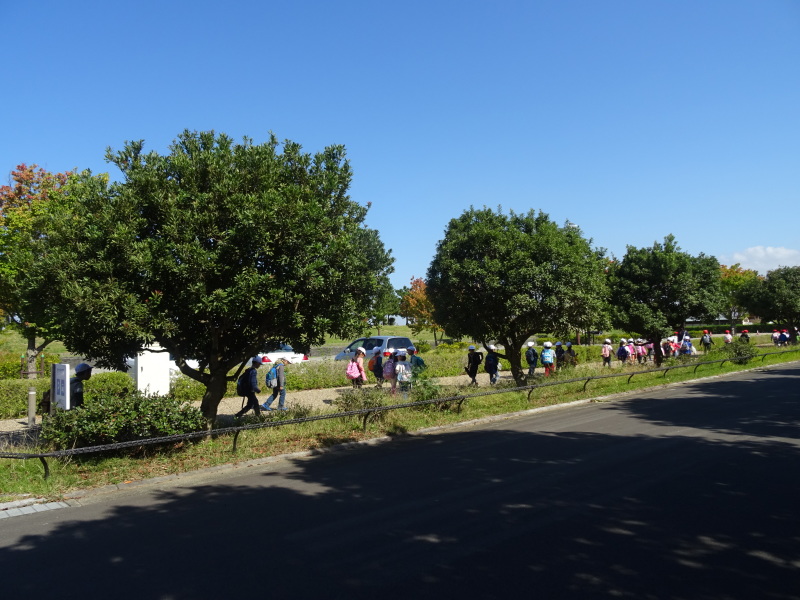 淡輪小学校1年生遠足「里山体験」・・・せんなん里海公園内うみべの森 by (TATE-misaki)_c0108460_16541923.jpg