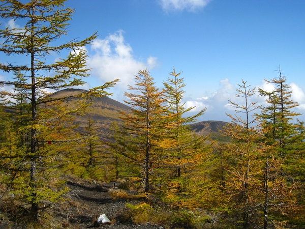 水ヶ塚から双子山（紅葉散策）_d0164761_13192168.jpg