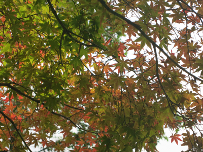 c0117570_16453978.jpg