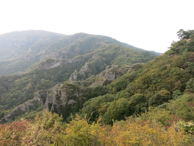 c0117570_16454040.jpg