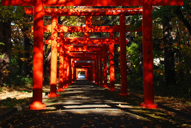 　　　【　伏見稲荷神社　】_c0094572_7252268.jpg